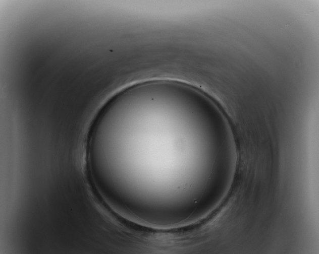 X0000088391511200705291357