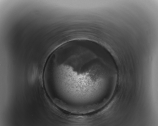 X0000088391513200705291357