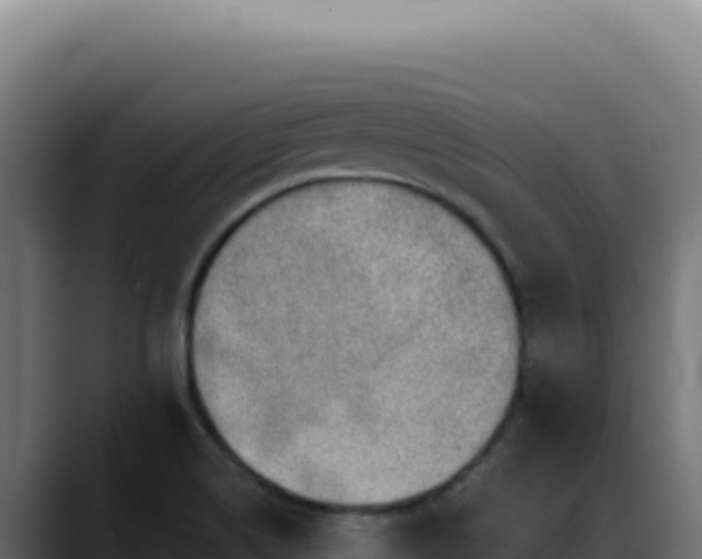 X0000088391514200705291357