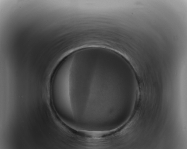 X0000088391515200705291357