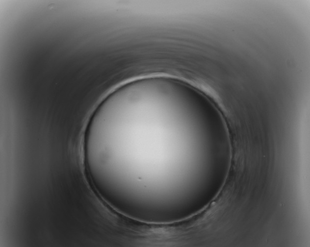 X0000088391516200705291358