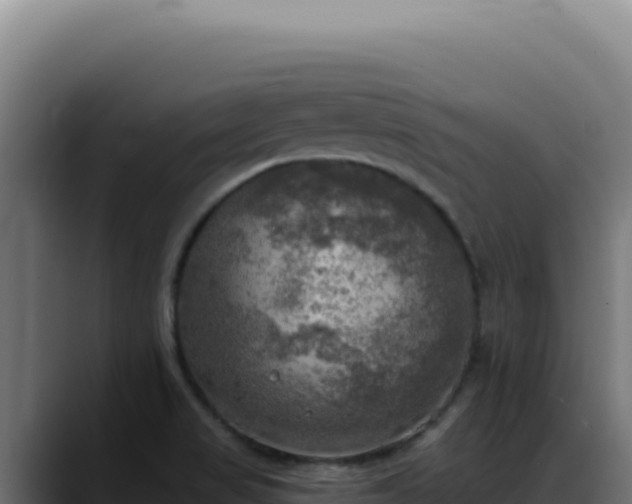 X0000088391517200705291358