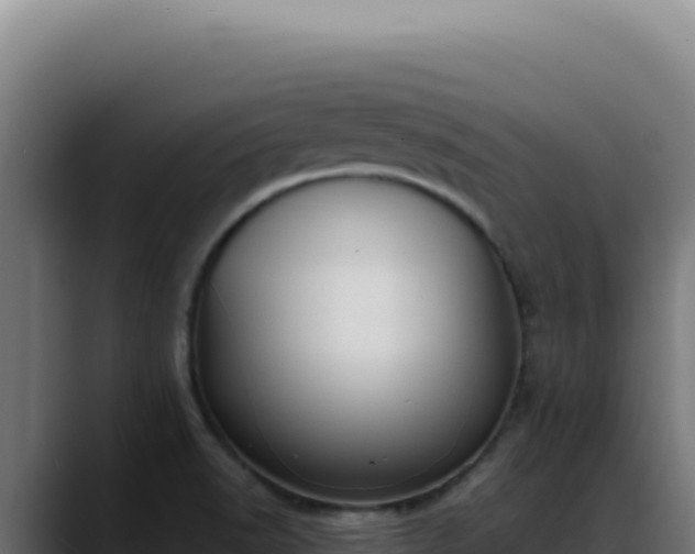 X0000088391518200705291358