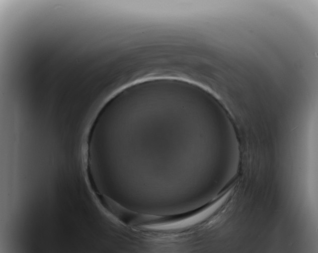 X0000088391519200705291358