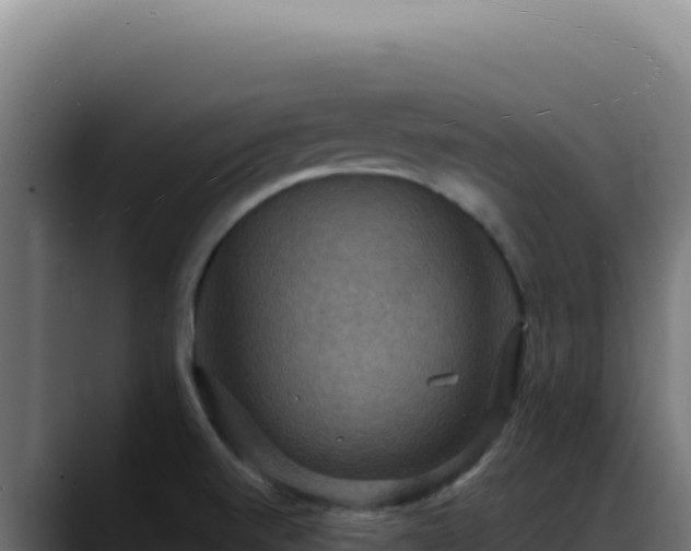 X0000088391520200705291358