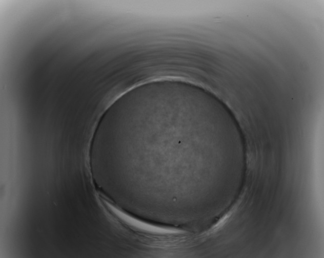 X0000088391521200705291358