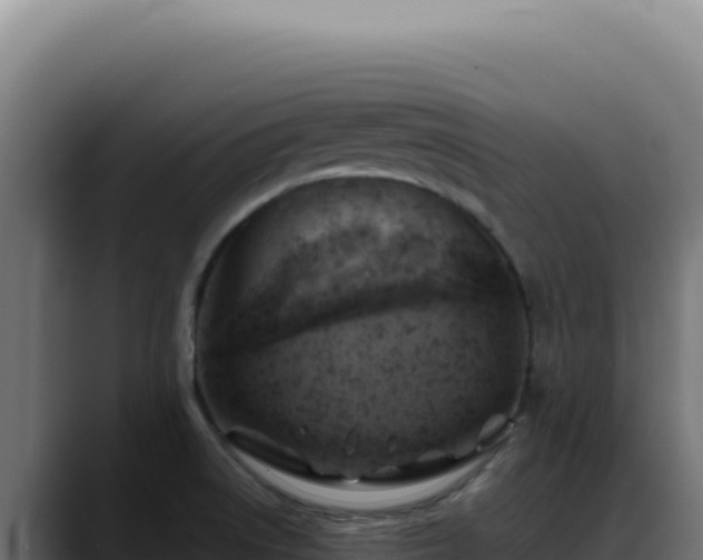 X0000088391522200705291358