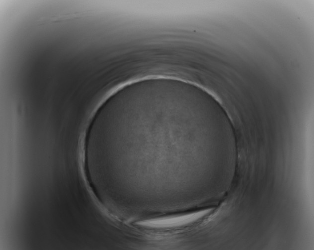 X0000088391523200705291358