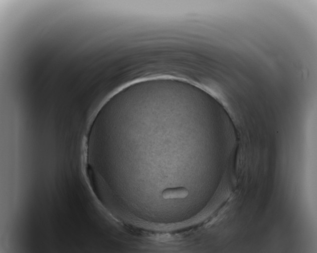 X0000088391524200705291358