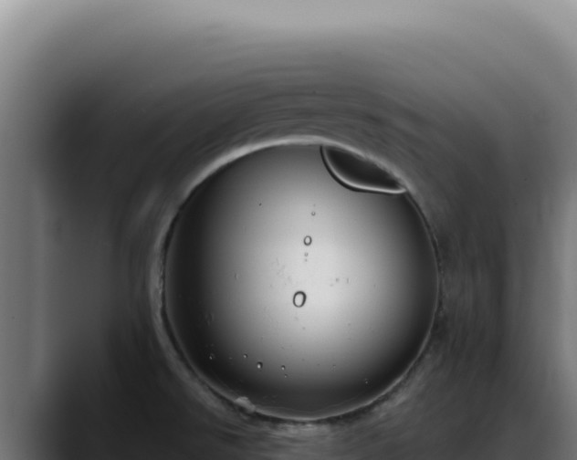 X0000088391526200705291358