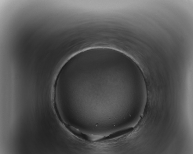 X0000088391527200705291358