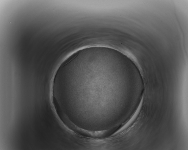 X0000088391528200705291358