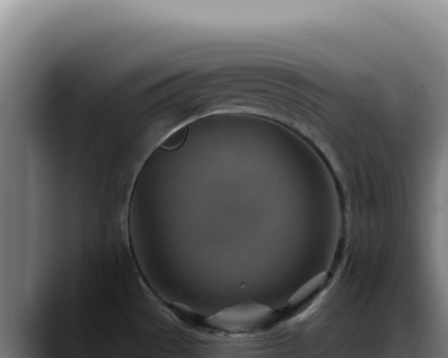 X0000088391529200705291358