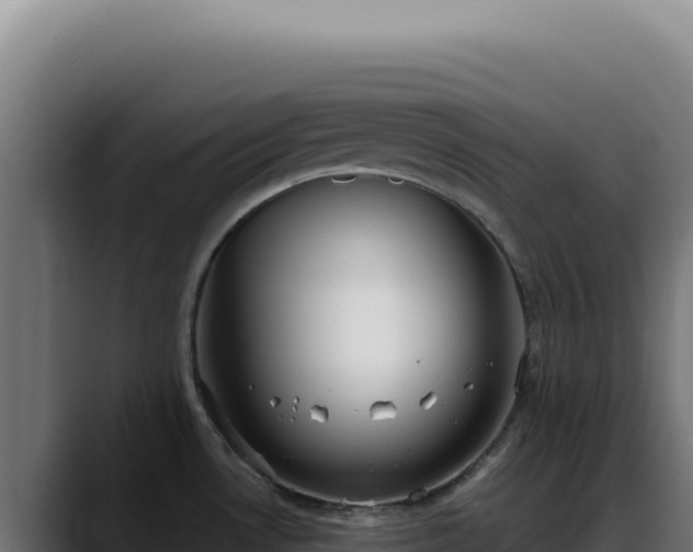 X0000088391530200705291358