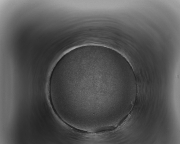 X0000088391531200705291358