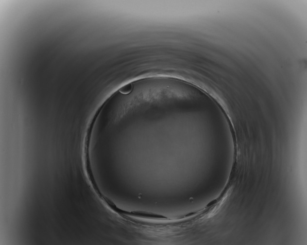 X0000088391533200705291358