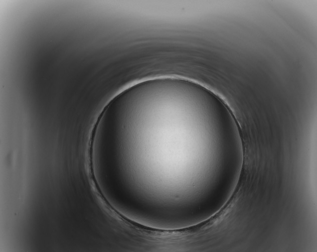 X0000088391534200705291358