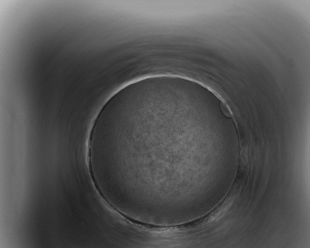 X0000088391535200705291358