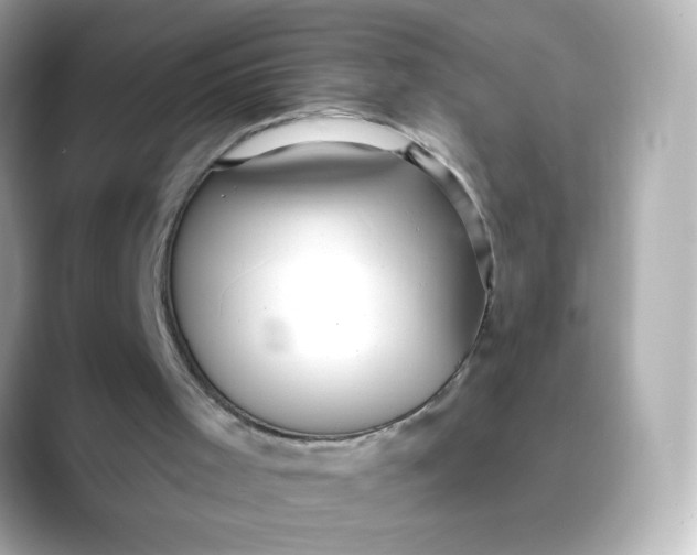 X0000088390001200706051126