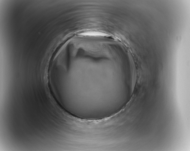 X0000088390002200706051126