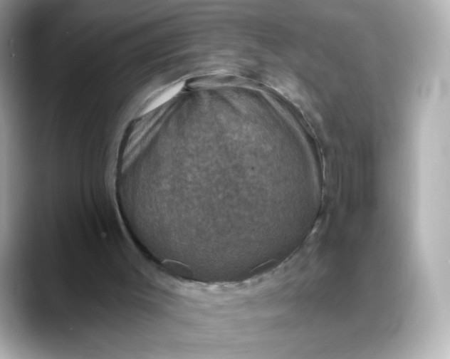 X0000088390003200706051126