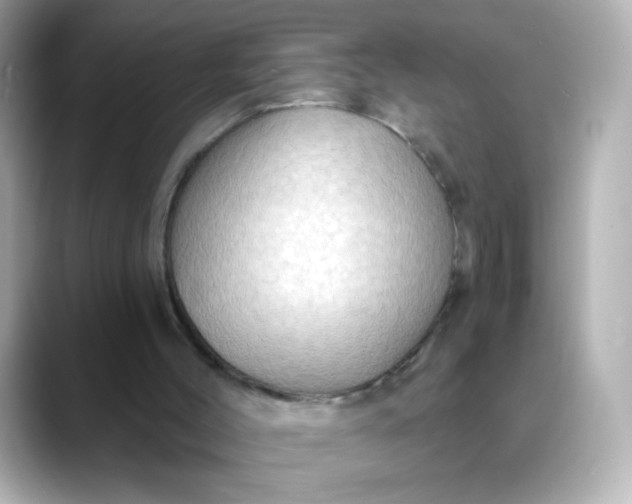 X0000088390004200706051126