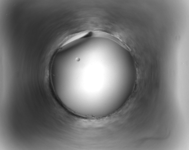 X0000088390005200706051126