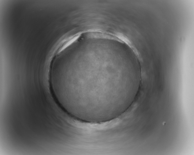 X0000088390007200706051126