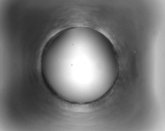 X0000088390008200706051126