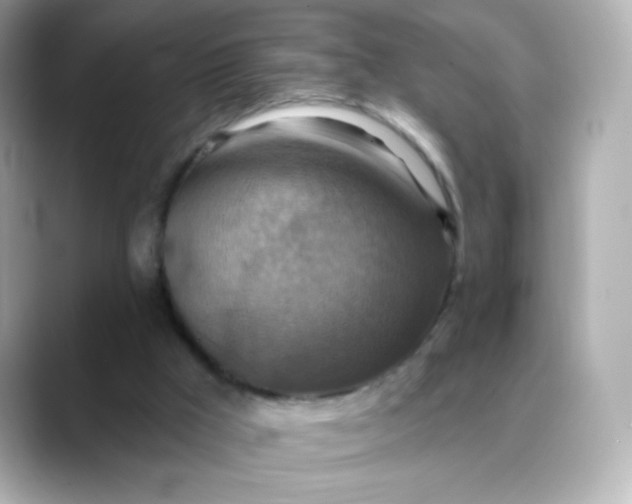 X0000088390009200706051126