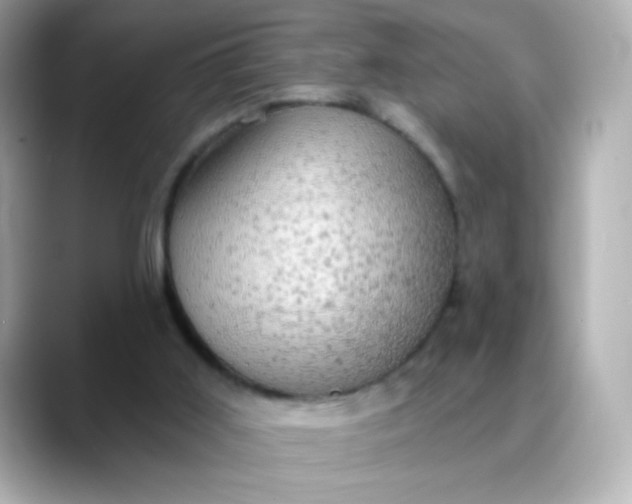 X0000088390011200706051126