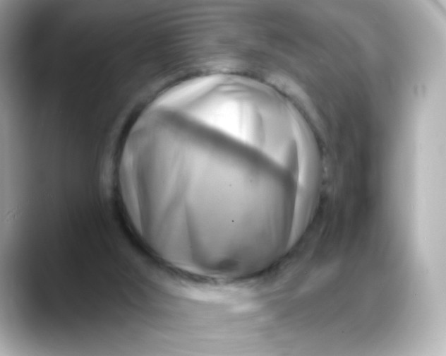 X0000088390012200706051126