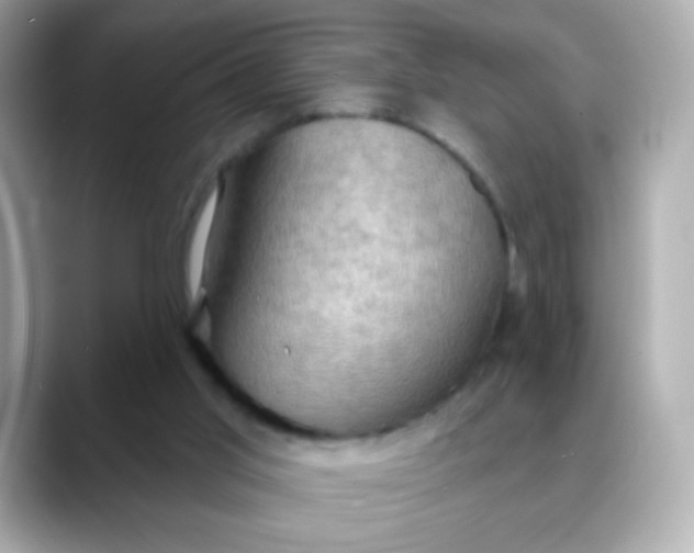 X0000088390013200706051126