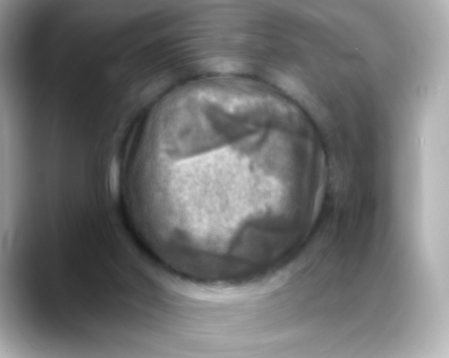 X0000088390014200706051126