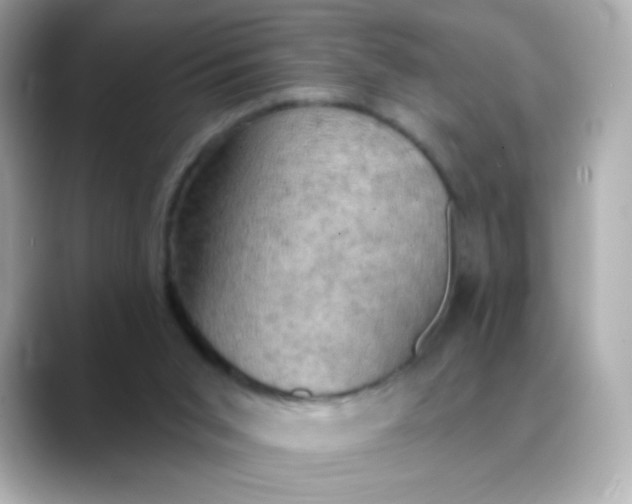 X0000088390015200706051126