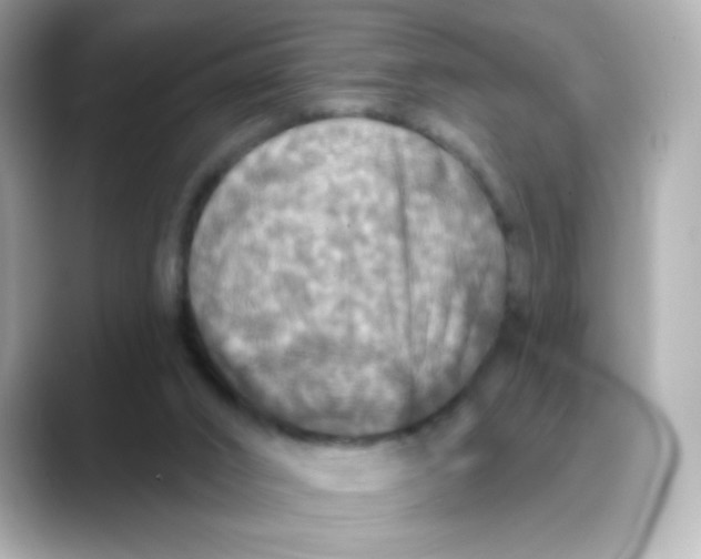 X0000088390016200706051126