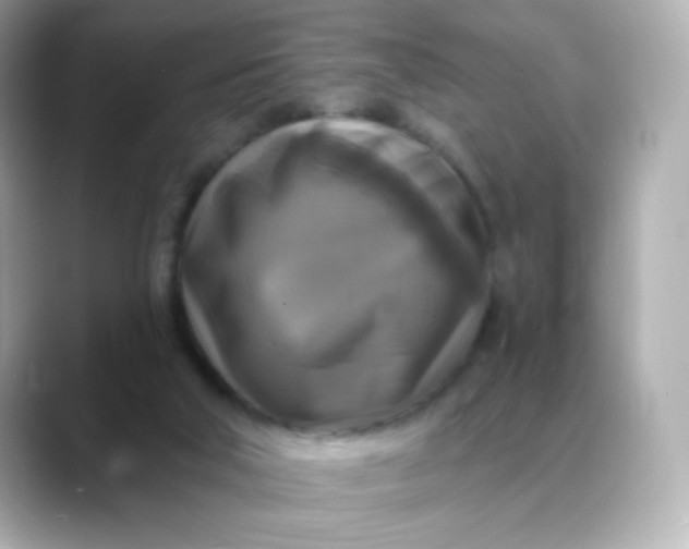 X0000088390018200706051126