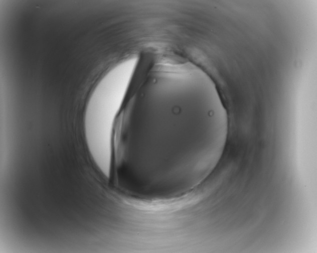 X0000088390019200706051126