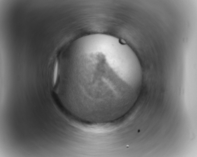 X0000088390020200706051126