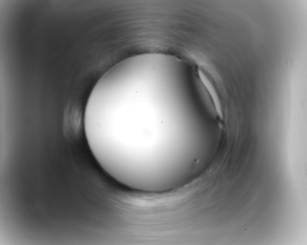 X0000088390021200706051126