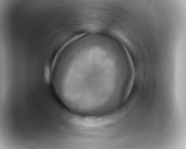 X0000088390022200706051126