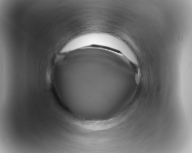 X0000088390023200706051126