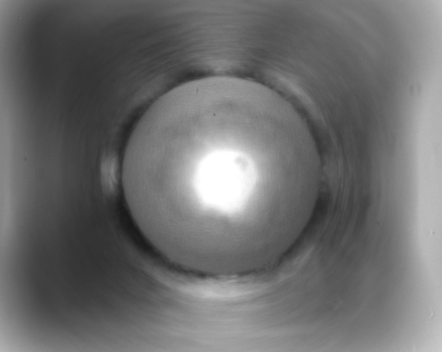 X0000088390024200706051126