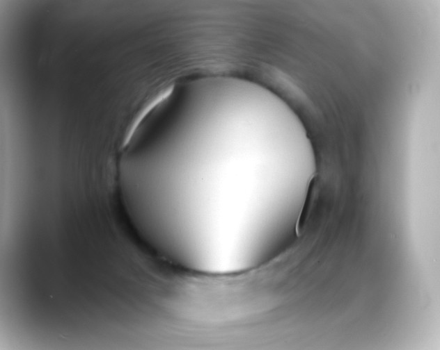 X0000088390025200706051126