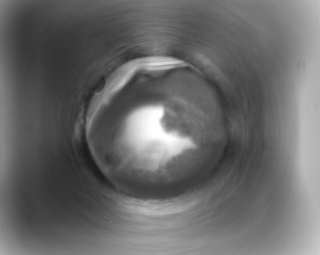 X0000088390026200706051126