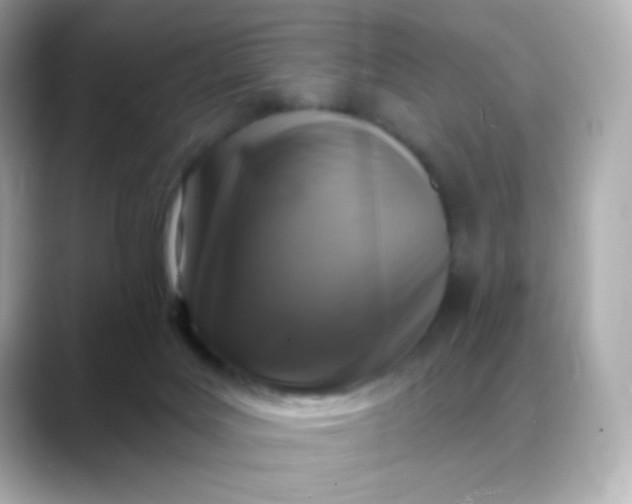 X0000088390027200706051126