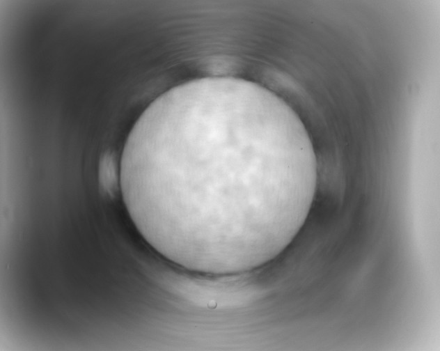 X0000088390028200706051126