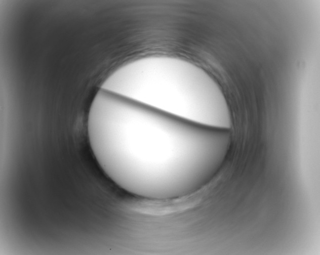 X0000088390029200706051126