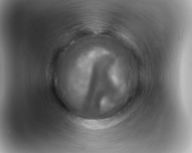 X0000088390030200706051126