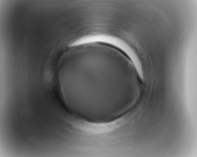 X0000088390031200706051126